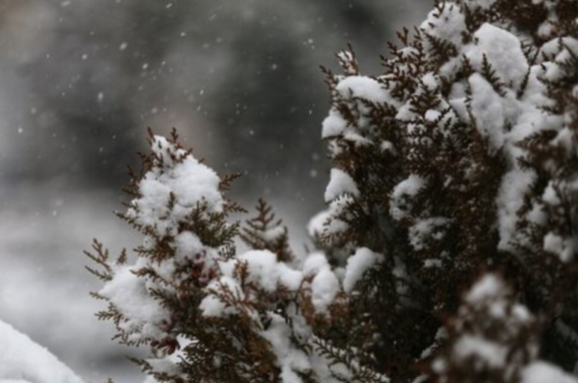 وضعیت آب و هوا، امروز ۲۶ دی ۱۴۰۴| سامانه بارشی یکشنبه وارد کشور می‌شود