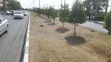 گلایه‌های شهروندان؛ از تأخیر پرداخت کالابرگ تا بحران ترافیک آبادان و آب در یاسوج