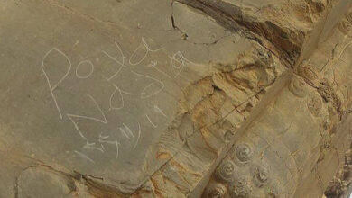 هنگام یادگاری‌نویسی « Poya Nadia » روی دروازه ملل تخت جمشید نگهبانان کجا بودند؟