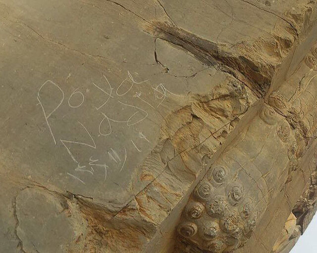 هنگام یادگاری‌نویسی « Poya Nadia » روی دروازه ملل تخت جمشید نگهبانان کجا بودند؟