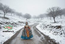 وضعیت جوی و میزان بارندگی در ۵۴ منطقه استان فارس تا امروز ۱۴۰۴/۱۱/۲۱