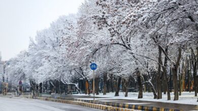 هشدار هواشناسی: بارش‌های رگباری و باد شدید از شنبه در بیشتر مناطق کشور