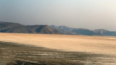 تاجگردون: چاه‌های کشاورزی، تالاب مهارلو را/ مسئولیت چاه ها با آب منطقه‌ای است