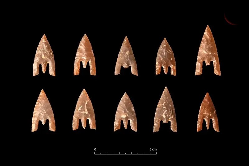 راز ۴۰۰۰ ساله در نرماندی: تیرهای سنگی رئیس‌قبیله از دل خاک بیرون آمدند