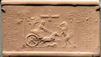 چگونه داریوش هخامنشی به قدرتمندترین مرد جهان تبدیل شد؟