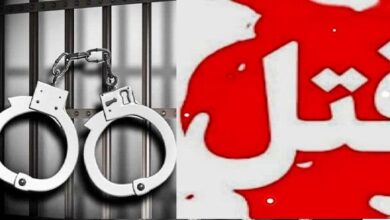 فرجام شوم «مسافربر نما» در جاده‌های وحشت؛ جزئیات تکان‌دهنده از آخرین تماس ملیکا تا دستگیری بلاگر قاتل!