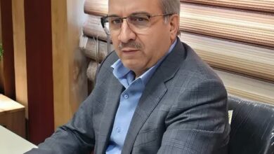 پاکسازی بازار دارو در استان فارس؛ جمع‌آوری ۱۴ میلیارد ریال داروی غیرمجاز