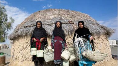 آغاز طرح پوشش بیمه‌ای ۵۵۰۰ فعال مشاغل خرد روستایی