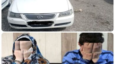 خودرو لیفان سرقتی از مشهد در پاسارگاد از حرکت ایستاد