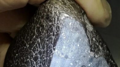 ردپای «آب» در شهاب سنگ مریخی که ۱۰ میلیون سال پیش در صحرای مراکش افتاد