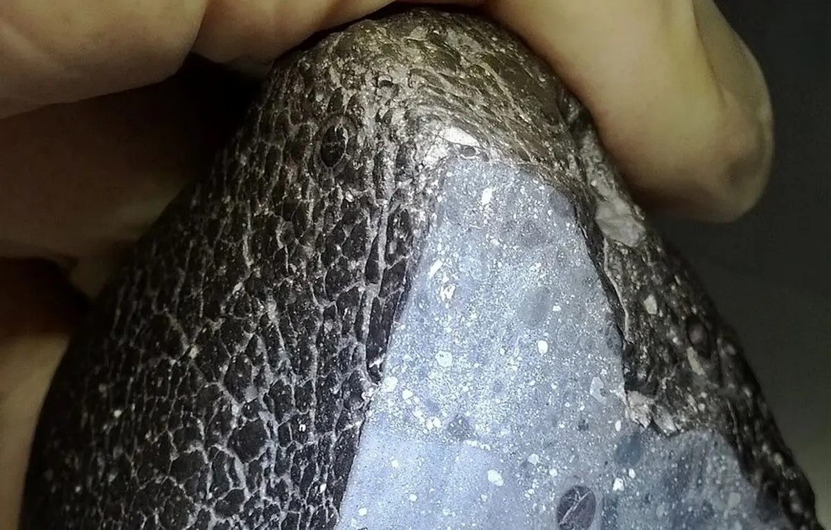 ردپای «آب» در شهاب سنگ مریخی که ۱۰ میلیون سال پیش در صحرای مراکش افتاد