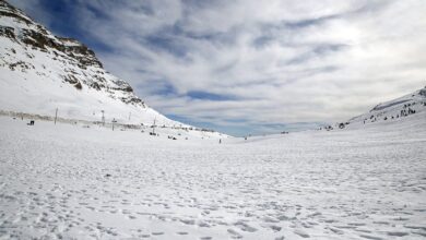 جدول میزان بارش باران در استان فارس تا امروز ۱۹ بهمن ماه ۱۴۰۴