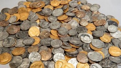 کشف گنجینه ۴۰۴ سکه‌ ۲۰۰۰ ساله هنگام جستجوی کلید گمشده تراکتور