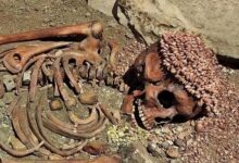 راز مرگ شاهزاده عصر پارینه‌سنگی پس از ۲۸ هزار سال فاش شد