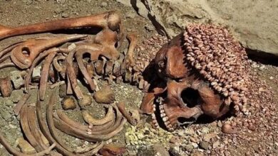 راز مرگ شاهزاده عصر پارینه‌سنگی پس از ۲۸ هزار سال فاش شد