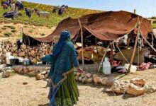 زمان پرداخت و مبلغ پرداخت «عیدی» مستمری‌بگیران صندوق بیمه روستاییان