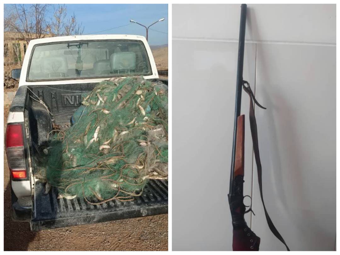 کشف ۳۲۰ قطعه ماهی و توقیف سلاح شکاری از ۴ صیاد متخلف در مرودشت