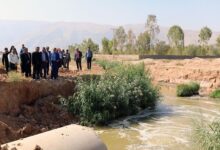 اولتیماتوم سازمان بازرسی برای رفع بوی ورودی شهر شیراز در چهار ماه