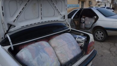 شناسایی و توقیف ۶ دستگاه خودروی سواری شوتی در فیروز‌آباد