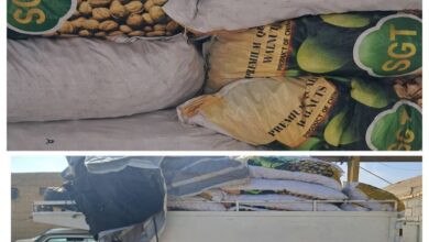 کشف ۷۰ گونی گردو قاچاق حین بازرسی از وانت نیسان در لامرد