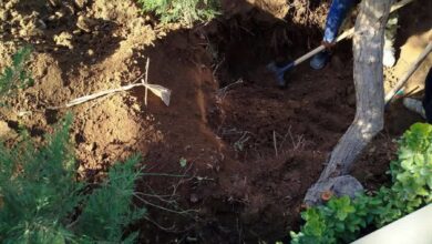 مرد بازرگان قربانی رابطه پنهانی همسرش شد/جسد مقتول در حالت نشسته کشف شد