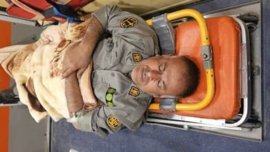 جنایت در کوهستان؛ حمله مستقیم خودروی شکارچیان به محیط‌بان لامردی