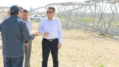 ضرب‌الاجل مدیرعامل برق منطقه ای فارس: نیروگاه متانول کاوه را همین امروز به شبکه وصل کنید!