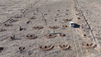 قلع‌وقمع نهال‌های غیرمجاز انجیر در حیات‌وحش بختگان