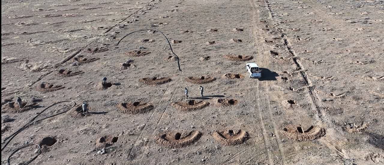 قلع‌وقمع نهال‌های غیرمجاز انجیر در حیات‌وحش بختگان