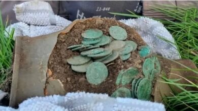 خواب در ماشین برای حفظ گنج/ کشف ۱۵۰۰۰ سکه رومی که تاریخ کشور را عوض کرد