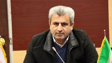 آمادگی تعاون روستایی فارس برای افزایش خرید گندم نسبت به پارسال/بهره‌برداری از ۴۰ پروژه عمرانی و تعاونی در سال ۱۴۰۴