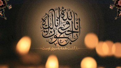 خبرنگار و فعال حوزه رسانه استان فارس به سوگ نشست