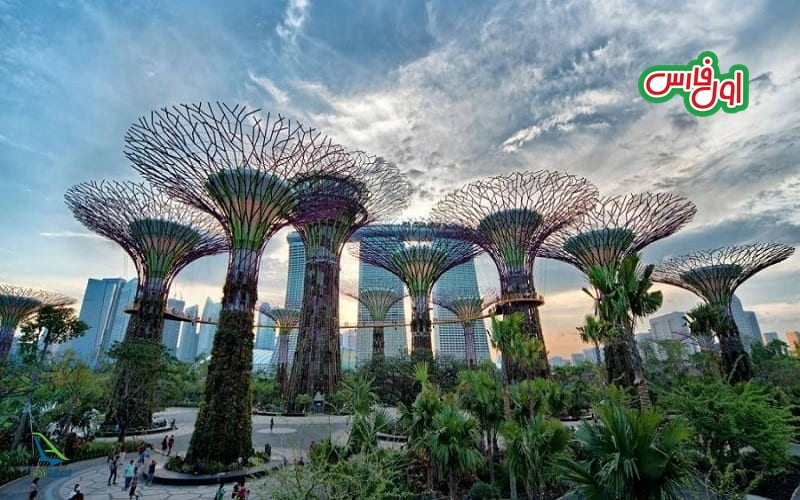تصاویر باغ های خلیج سنگاپور