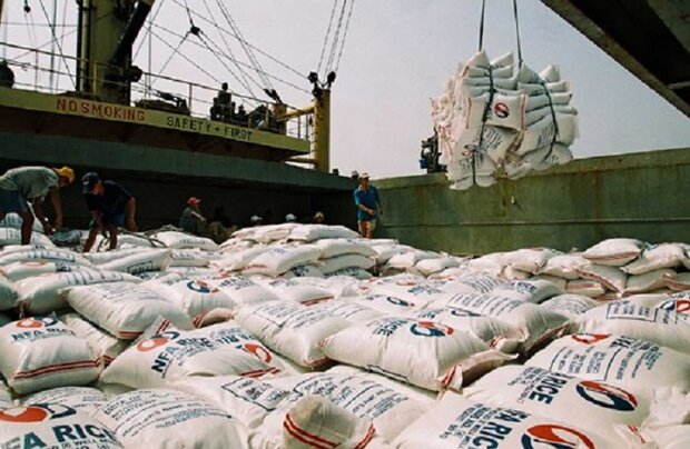 احتمال اعمال ممنوعیت‌ هند بر صادرات برنج به دیگر کشورها بزودی