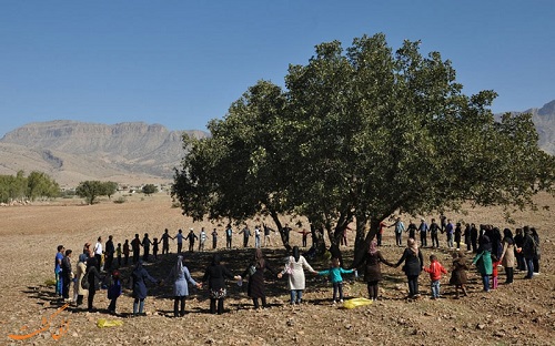 پلاکارد جنجالی مردم یاسوج در اعتراض به خشک شدن بلوط ها +عکس
