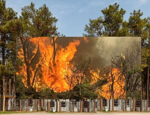 آتش سوزی در جنگل اطراف مجموعه جهانی تخت جمشید+ویدیو