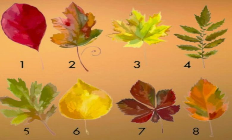 تست شخصیت شناسی:کدام برگ پاییزی زیباتر است؟ بیشتر خودتان را بشناسید