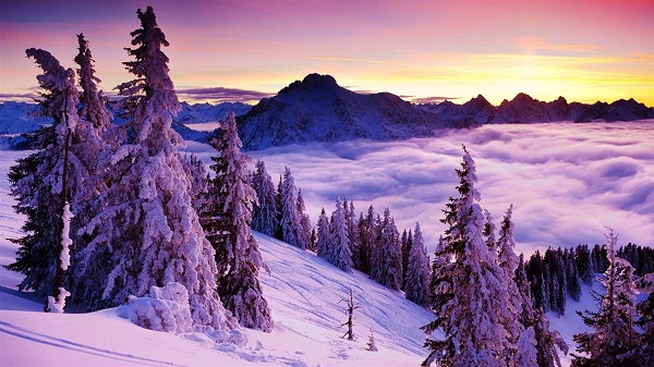 نگاه کنید|چند منظره زیبا از طبیعت زمستانی که حالتون را بهتر میکند