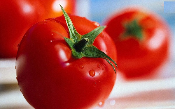 با گوجه فرنگی ۵ غذای خوشمزه ،آسان و رژیمی درست کنید+طرز تهیه