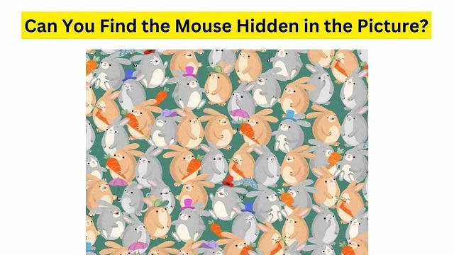 تست بینایی:موش چاق پنهان در تصویر را در ۳۰ ثانیه پیدا کنید