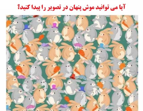 can you find mouse in pictureموش پنهان