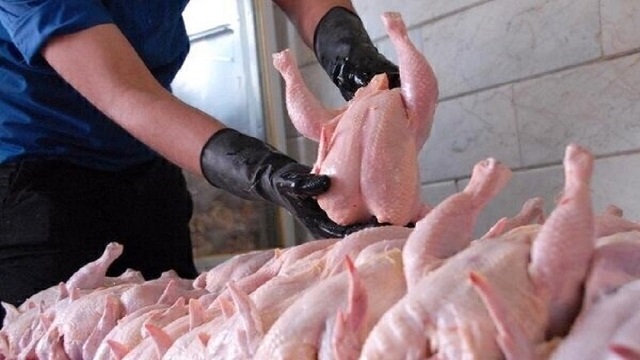 اصلاح قیمت مرغ گرم به زودی اما به نفع تولیدکنندگان !