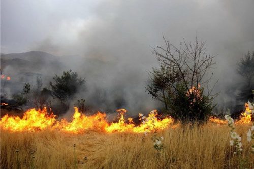 مرگ دلخراش یک مرد هنگام آتش سوزی در منابع طبیعی ماهور میلاتی فارس