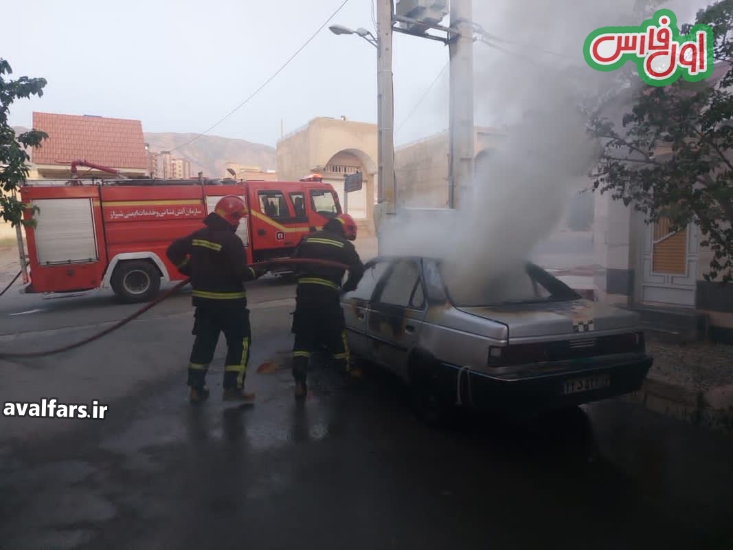 جزئیات آتش سوزی های بامدادی در شهرک ها گلدشت حافظ و بهار شیراز+عکس
