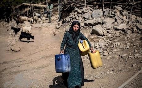 کشت برنج با سهمیه آب دریاچه طشک و بختگان  در بحران ۱۰۰ درصدی خشکسالی استان فارس