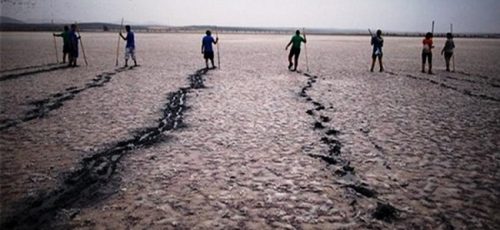 کشت برنج با سهمیه آب دریاچه طشک و بختگان در بحران خشکسالی استان فارس