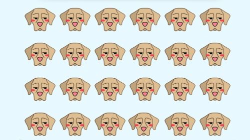 تست بینایی؛ کدام سگ غمگین با بقیه متفاوت است ؟ پیدایش کنید (+ پاسخ)