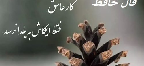 فال حافظ امروز ۱۹ اردیبهشت با تفسیر زیبا و دقیق /می خواه و گل افشان کن از دهر چه می‌جویی