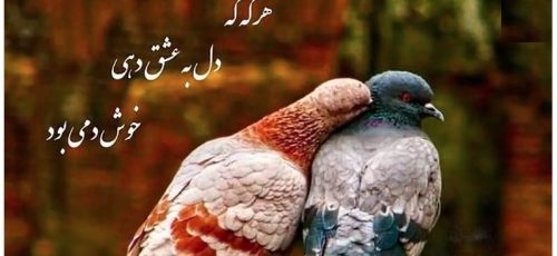 فال روزانه|فال حافظ امروز ۱ خرداد با تفسیر زیبا و دقیق/چه غم ز حال ضعیفان ناتوان داری