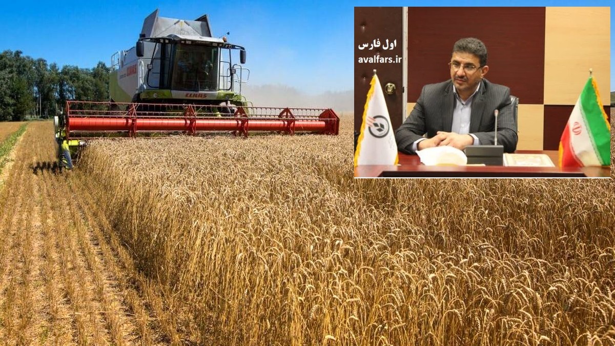 خرید گندم توسط تعاون روستایی استان فارس رکورد زد